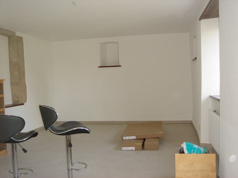 Appartement dans une ancienne ferme rénovée. (8)