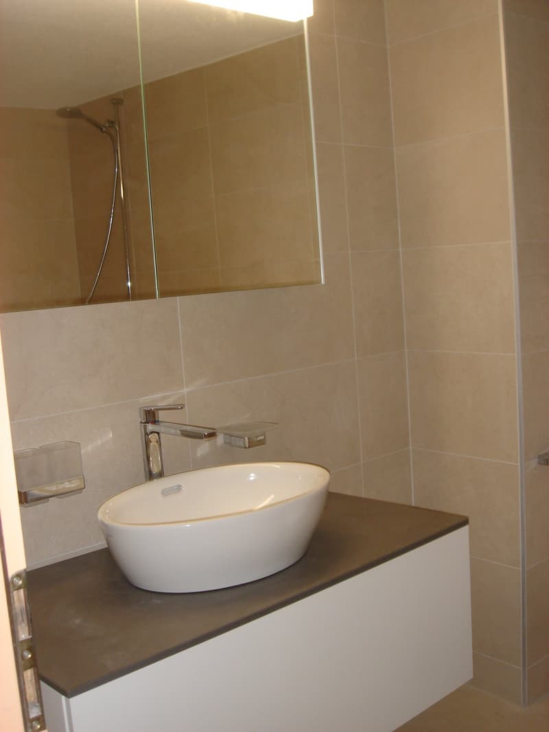 Appartement dans une ancienne ferme rénovée. (4)