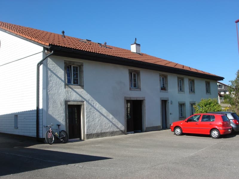 Appartement dans une ancienne ferme rénovée. (1)