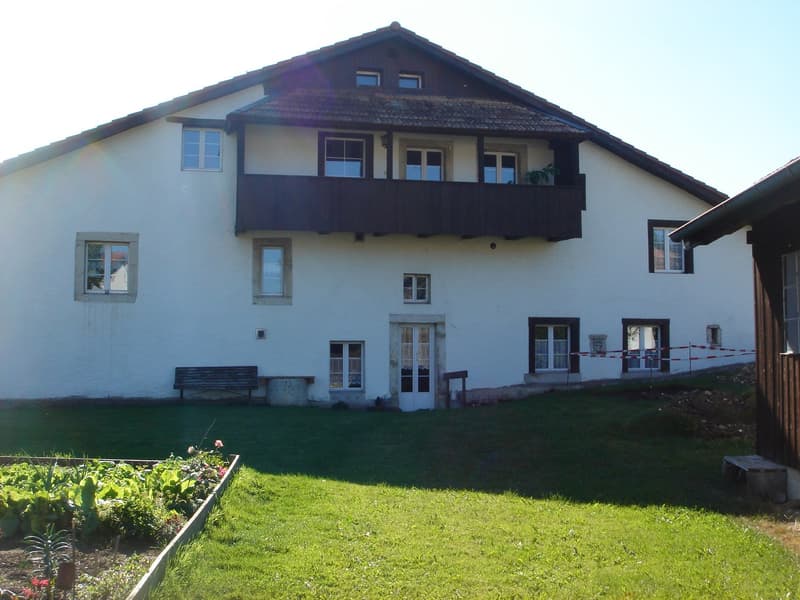 Appartement dans une ancienne ferme rénovée. (3)