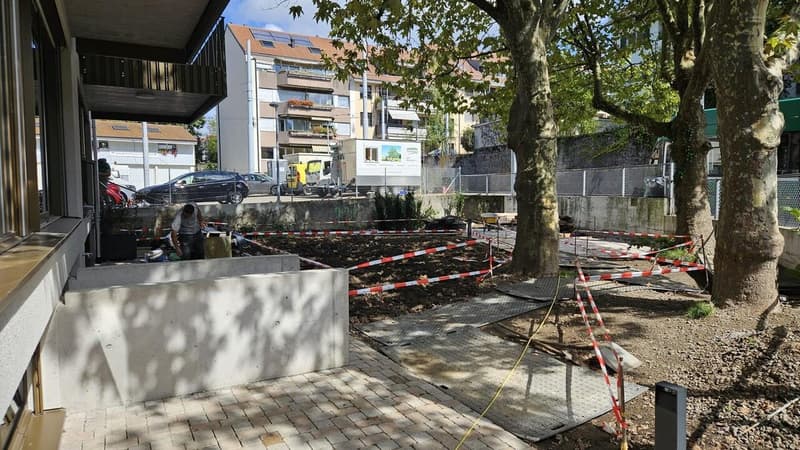 W03 - Modern 5.5-room garden apartment, next to the Riehen tram station (7)