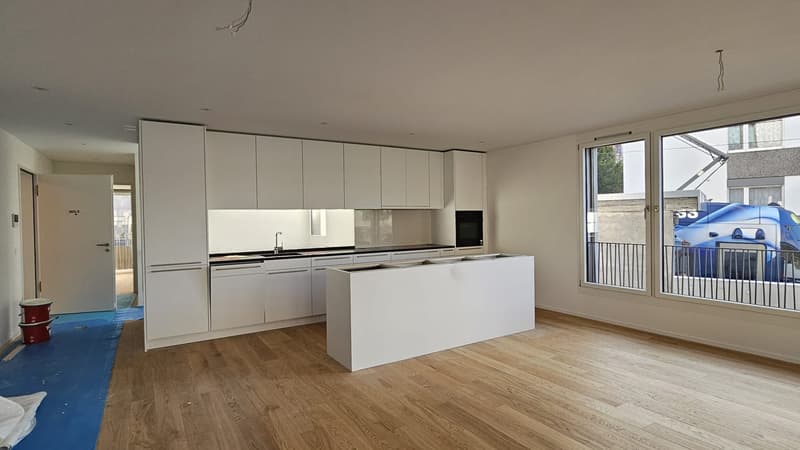 modern kitchen, white cupboards, wooden floor, central island, glass windows
