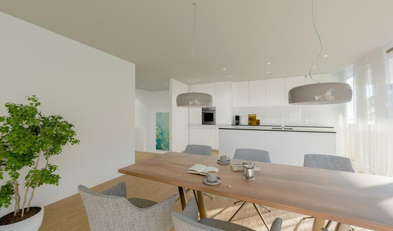 Dining area: wooden dining table, chairs, light gray curtains, potted plant, wooden floor, white walls, ceiling with spotlights, open-plan kitchen with modern appliances and cabinets
