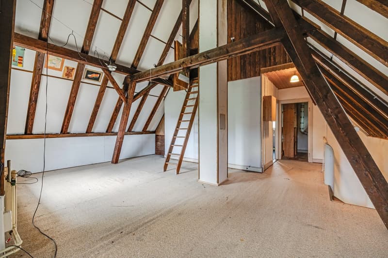 Casa unifamiliare di 6 camere da ristrutturare in posizione idillica ad Allschwil (4)