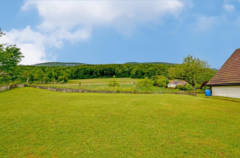 Tra le alture del Giura e il panorama alpino. Vivere con vista a Niederbipp (7)