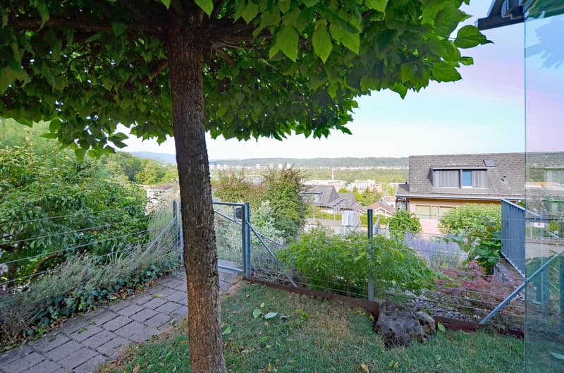 Familienhaus mit Weitsicht in Münchenstein (4)