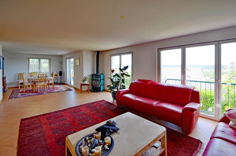 Family house with a great view and plenty of space in Münchenstein (4)