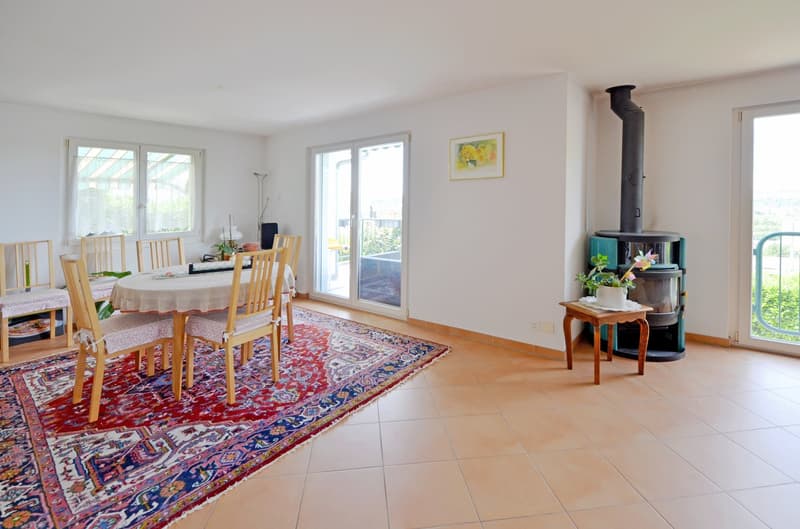 Family house with a great view and plenty of space in Münchenstein (5)