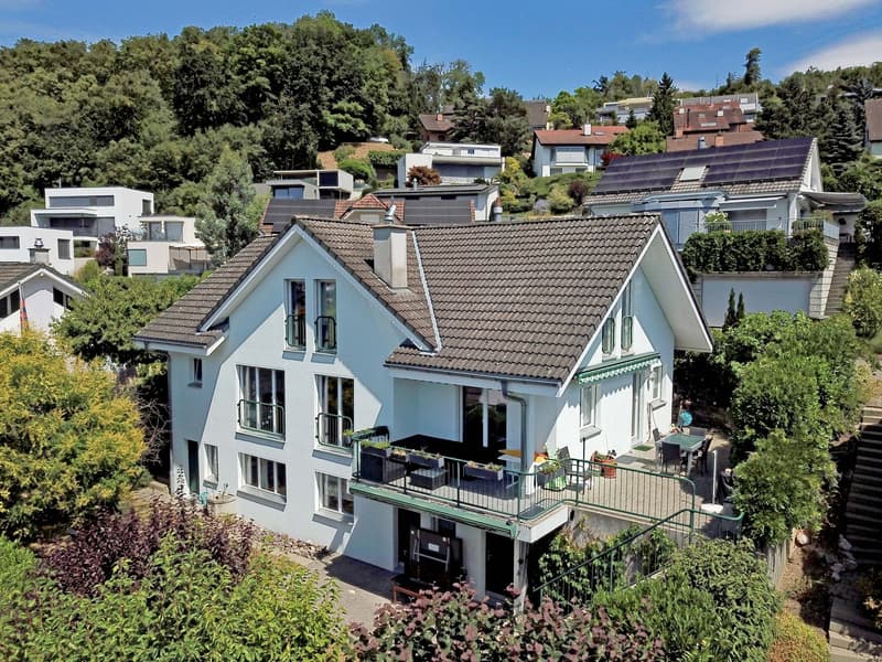 Family house with a great view and plenty of space in Münchenstein (1)