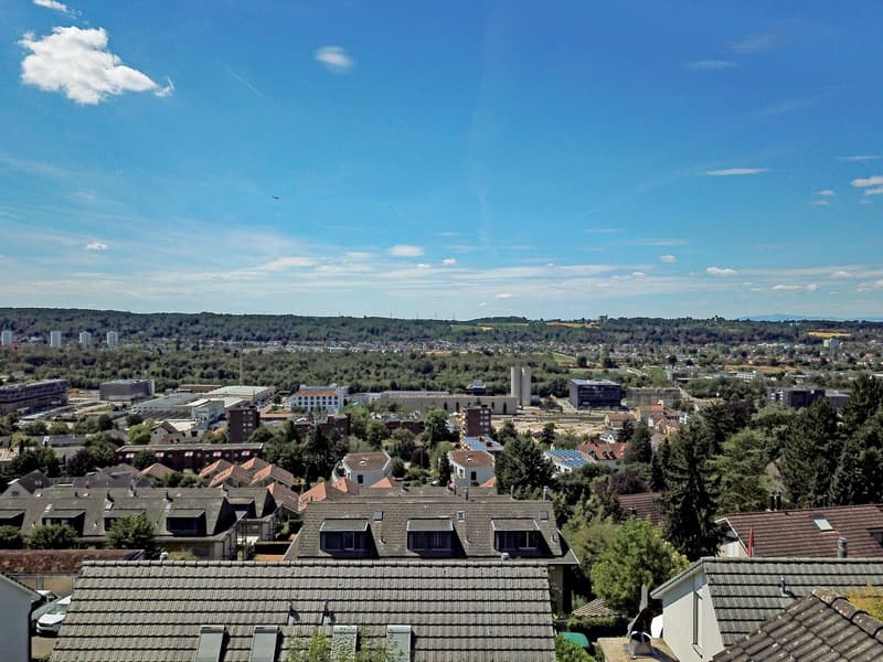 Familienhaus mit Weitsicht und viel Platz in Münchenstein (12)
