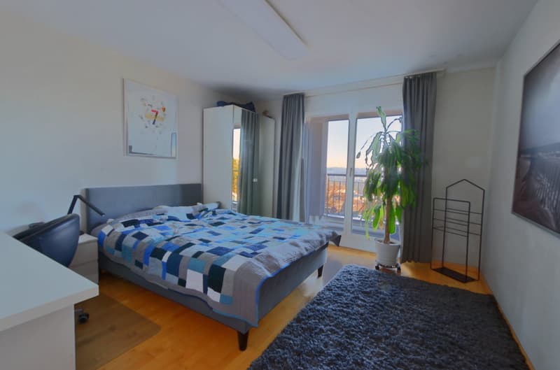 Familienhaus mit Weitsicht in Münchenstein (10)