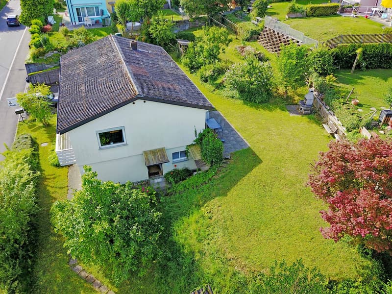 Einfamilienhaus mit Einliegerwohnung (1)