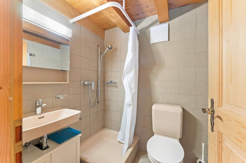 Maisonette di 4,5 locali con camino, galleria e vista lontana nel verde (11)