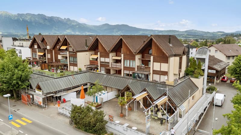 Appartement-maisonnette spacieux 5.5 pièces avec cheminée et vue panoramique (37)