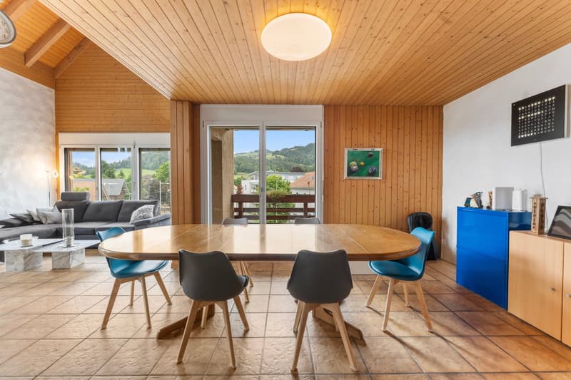 Appartement-maisonnette spacieux 5.5 pièces avec cheminée et vue panoramique (7)