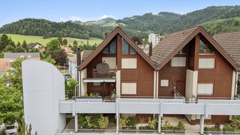 Appartement-maisonnette spacieux 5.5 pièces avec cheminée et vue panoramique (38)