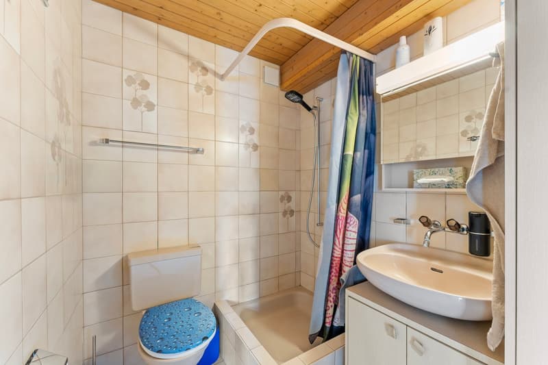 Appartement-maisonnette spacieux 5.5 pièces avec cheminée et vue panoramique (32)