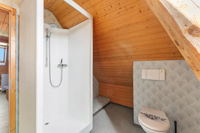 Freistehendes 7½-Zimmer-Einfamilienhaus mit viel Platz im Dorfkern von Busswil (12)