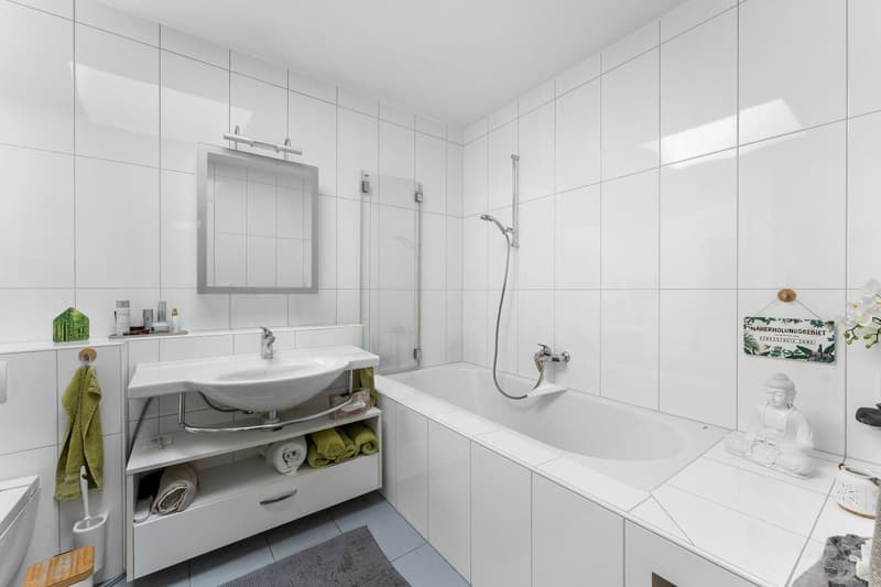Attika mit 93 m² Terrasse an der Zihl | Attique avec terrasse de 93 m² (17)