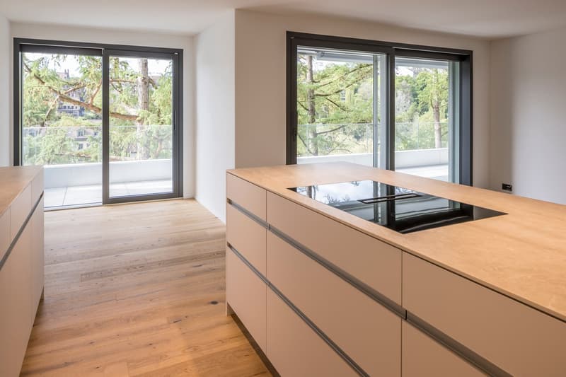 Primo occupazione dopo ristrutturazione totale di alta qualità - appartamento di città esclusivo con vista sul Bärengraben (5)