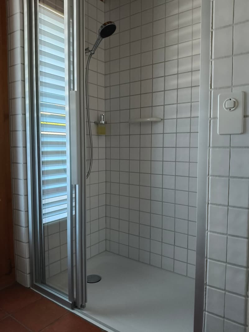 Occasion unique - Vaste appartement attique de 7,5 pièces avec vue panoramique à Spiez (17)