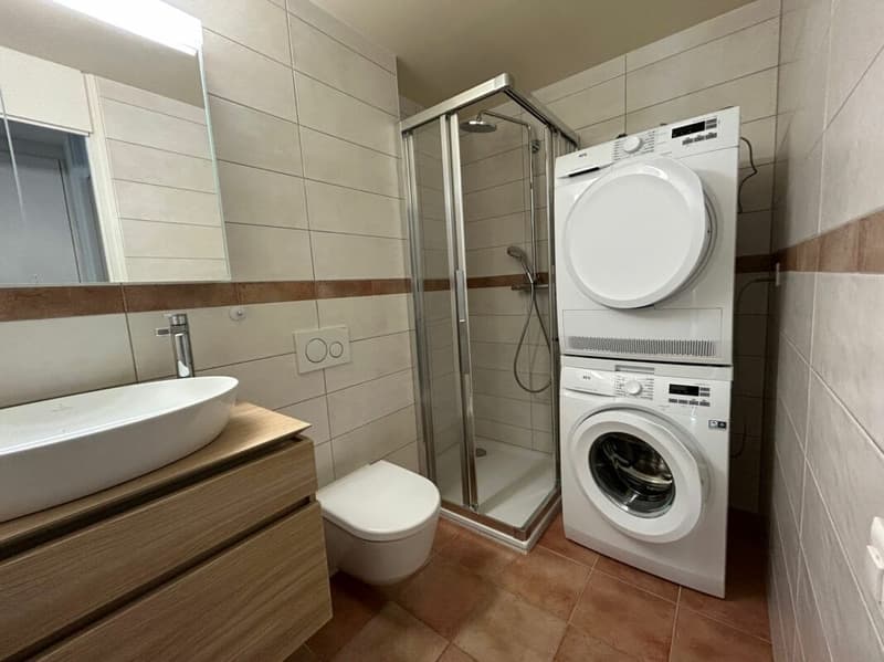 Appartement de 3 pièces avec cheminée et véranda (8)