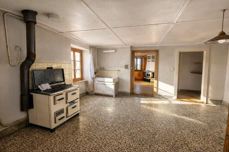Village Farmhouse - 2'578 m2 plot in village zone and huge potential for expansion! (10)