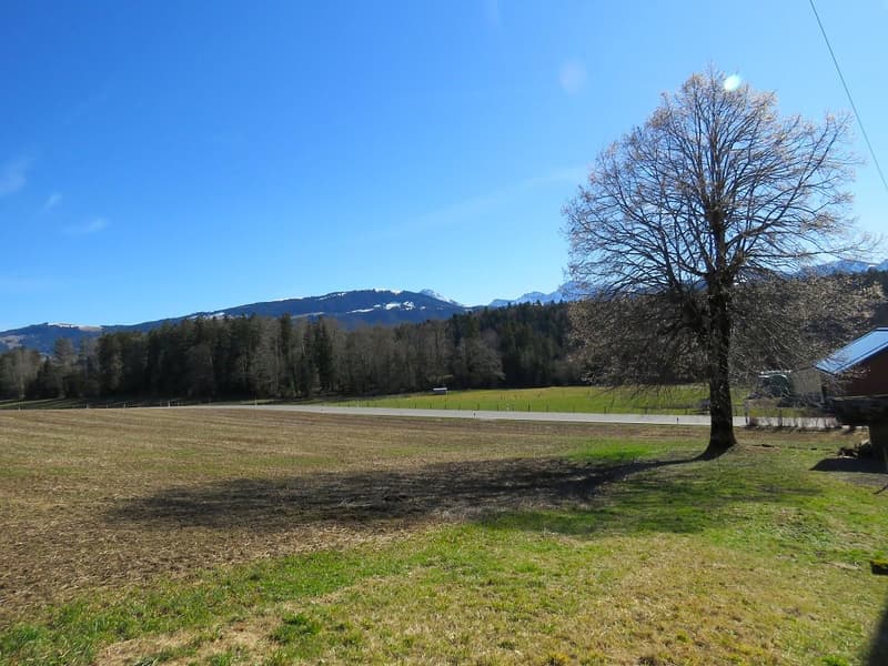 Village Farmhouse - 2'578 m2 plot in village zone and huge potential for expansion! (3)