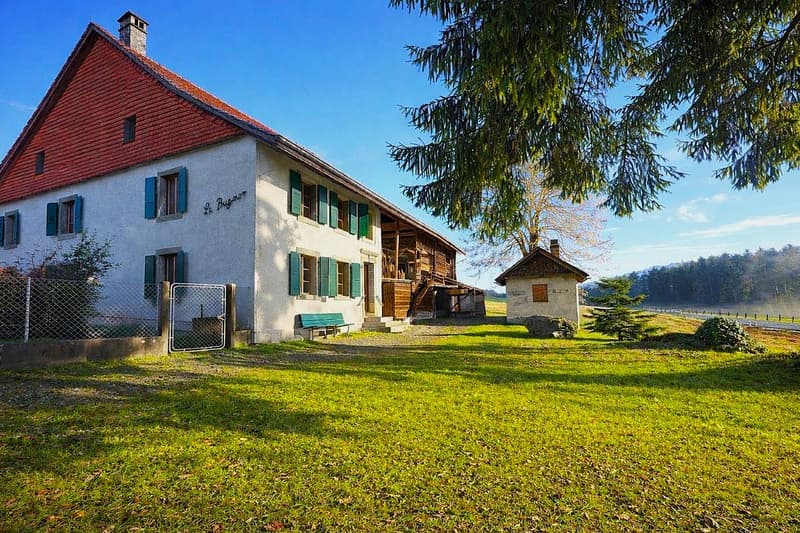 Village Farmhouse - 2'578 m2 plot in village zone and huge potential for expansion! (6)