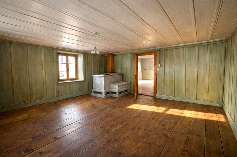Village Farmhouse - 2'578 m2 plot in village zone and huge potential for expansion! (8)