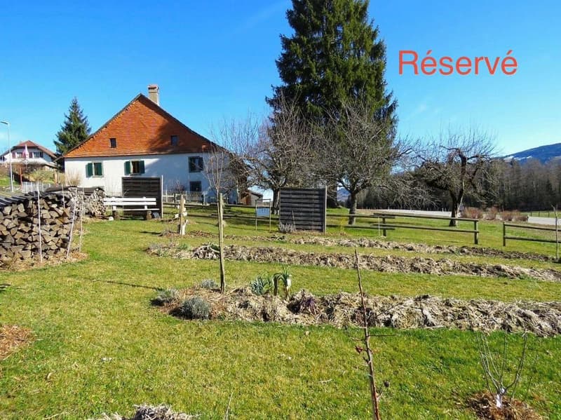 Village Farmhouse - 2'578 m2 plot in village zone and huge potential for expansion! (1)