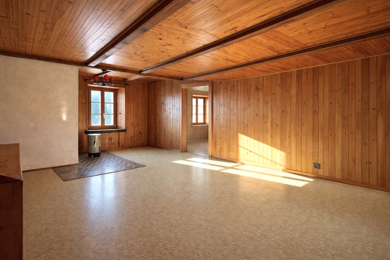 Village Farmhouse - 2'578 m2 plot in village zone and huge potential for expansion! (13)
