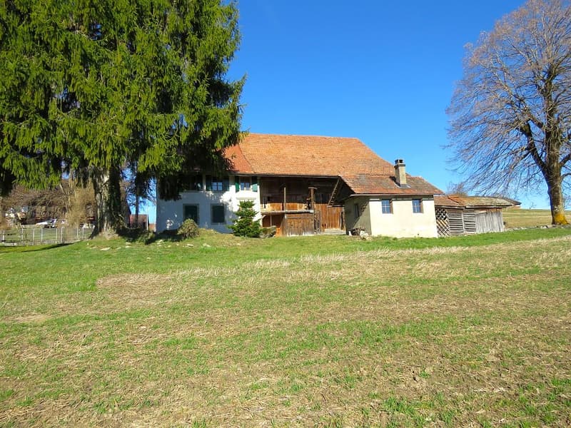 Village Farmhouse - 2'578 m2 plot in village zone and huge potential for expansion! (2)
