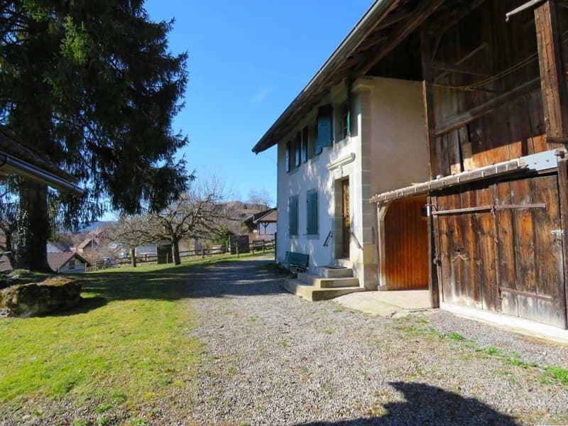 Village Farmhouse - 2'578 m2 plot in village zone and huge potential for expansion! (7)