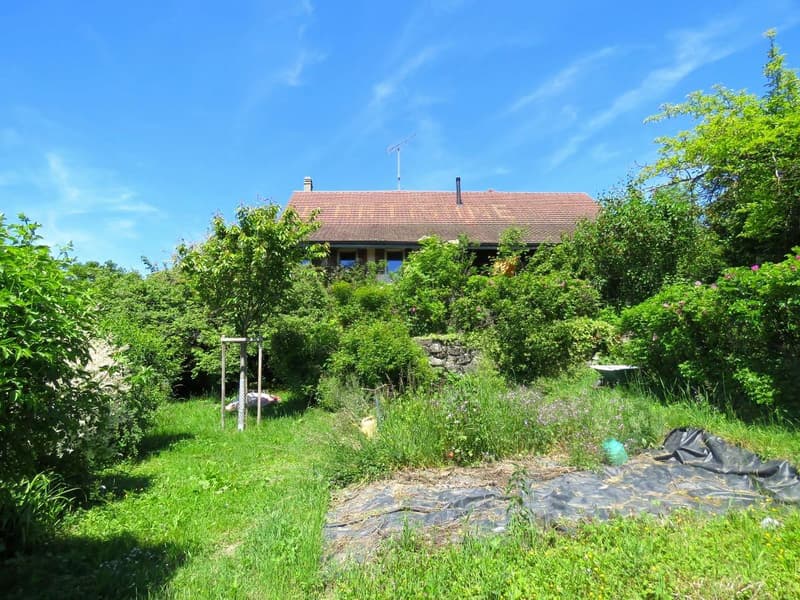 Authentic village property with great potential (4)
