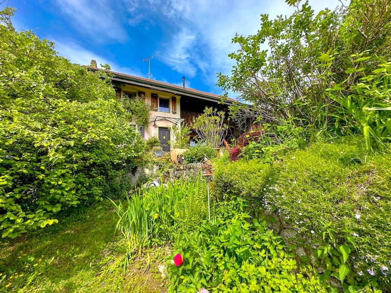 Authentic village property with great potential (9)