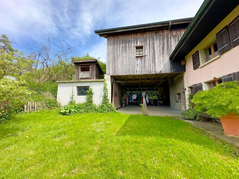 Authentic village property with great potential (13)