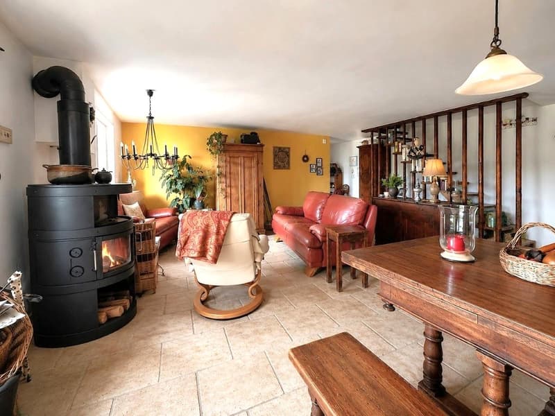 Authentic village property with great potential (3)