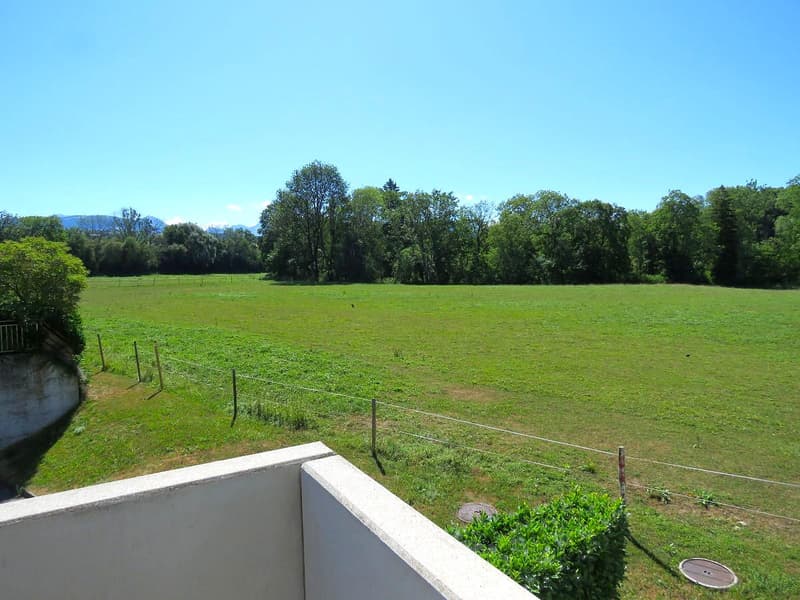 Wohnung mit 4.5 Zimmern und atemberaubendem Blick auf die Natur! (11)