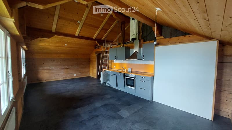 Charmantes Wohnhaus mit 2 Wohneinheiten in idyllischer Lage in Brienz BE (6)