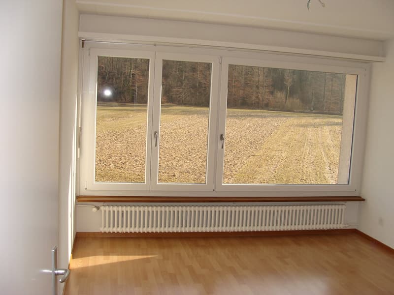 large window, white walls, wooden floor, white radiator, power outlet
