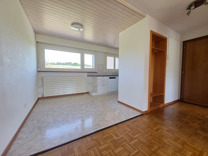 Appartement lumineux 4,5 pièces dans un endroit calme et proche de la ville (8)