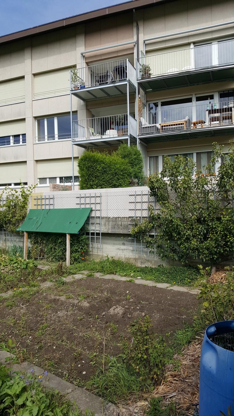2 story house, balconies with metal railings, metal railings on fences, green plants and grass, dirt area