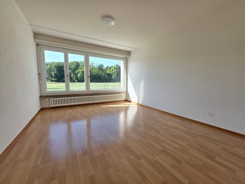 Appartement lumineux 4,5 pièces dans un endroit calme et proche de la ville (3)