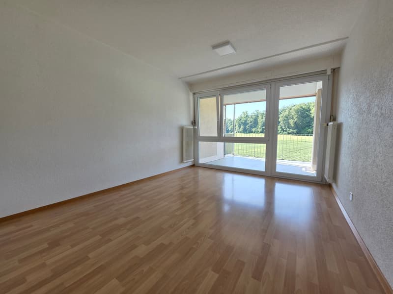 Appartement lumineux 4,5 pièces dans un endroit calme et proche de la ville (9)
