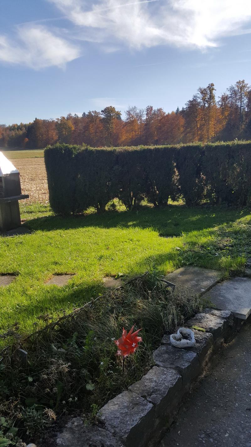Helle und stadtnahe 3.5-Zimmerwohnung in Rosshäusern (7)