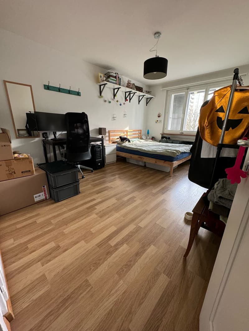 Helle 2.5-Zimmerwohnung in Ostermundigen (4)