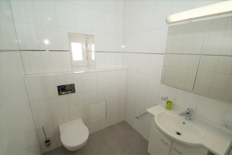3.5 room apartment with winter garden in Obach quarter (5)