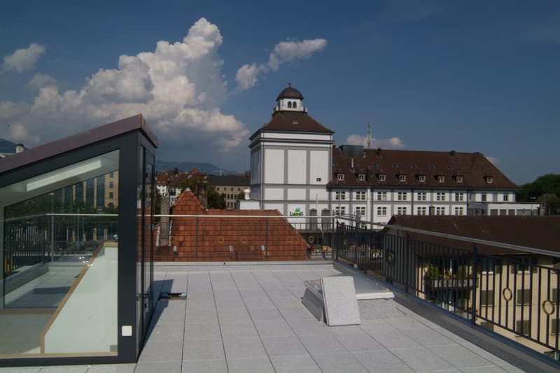 Appartamento duplex in città con terrazza spettacolare (12)