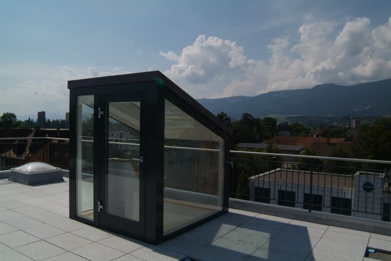 Appartamento duplex in città con terrazza spettacolare (5)